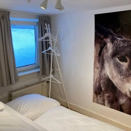 La Petite Maison Fachwerkhaus Am Rande Des Sauerlandes In