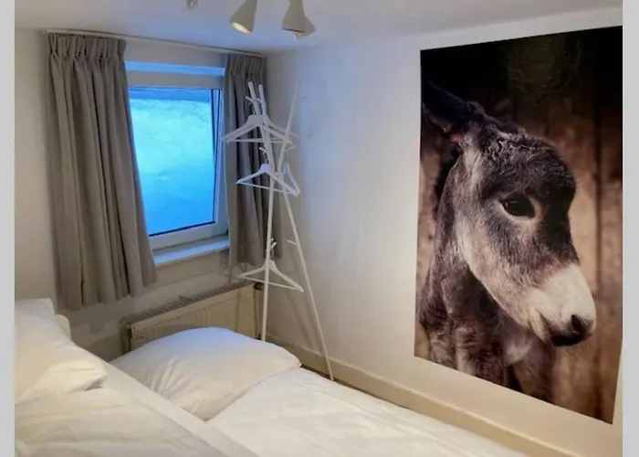 La Petite Maison Fachwerkhaus Am Rande Des Sauerlandes In