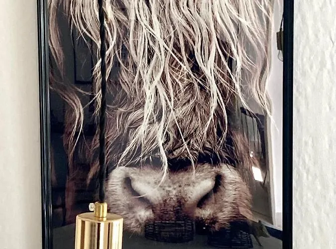 La Petite Maison Fachwerkhaus Am Rande Des Sauerlandes In Σπίτι διακοπών